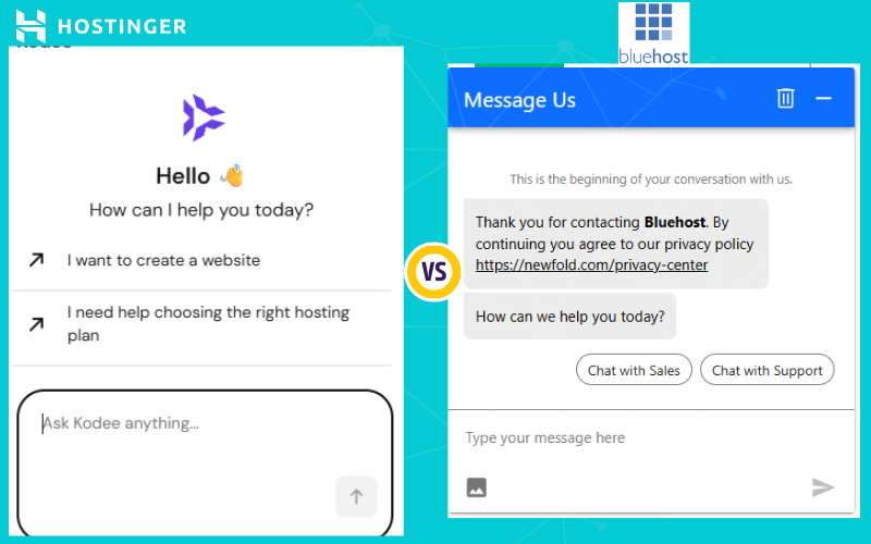Customer Support (Hostinger vs Bluehost)